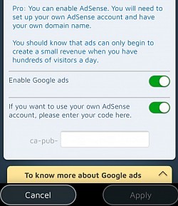 You can activate your own Google Ads on your Pro site.